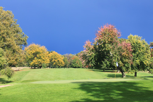 Course greens
